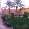 ابو عبدالله's profile picture