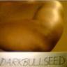 Profilbild von DARKBULLSEED ~• Breed with Darkbullseed 💦💦💦🎥
