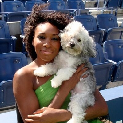 Venuseswilliams's profile picture