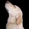 La Hueca's profile picture