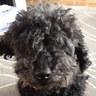 Roberta's profile picture