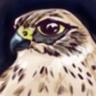 Profilbild von Argo Ideon