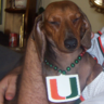Chris Tibbetts's profile picture