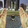 أبو أسامه الفريد's profile picture