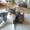 Profilbild von しゅん(^o^)