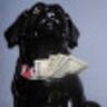 Cookie Jar Money 的头像