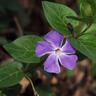 Фото профиля Debra Clapp