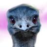 じろワン profil fotoğrafı