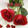 said alshouili's profile picture