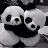 Profilbild von maishoooo