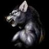 wooki's profile picture