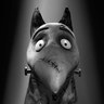 Pitch de la Tacio's profile picture