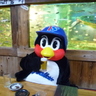 karaageteishoku's profile picture