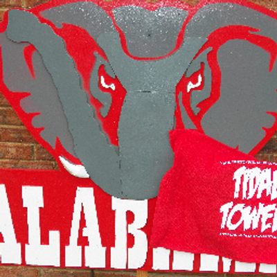 TidalTowel's profile picture