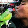 Tomateo Katatikis 的头像