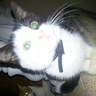 Mister Basic's profile picture
