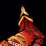 xingzuao 的头像