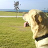 IUDEA LIBERA profil fotoğrafı