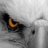 Philscbx profil fotoğrafı