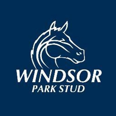 Windsor Park Stud's profile picture