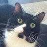 Profilbild von Whiskeylung 🇨🇦