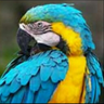 BHP's profile picture