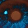 Profilbild von David Bowman’s eye