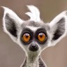 Profilbild von Gio