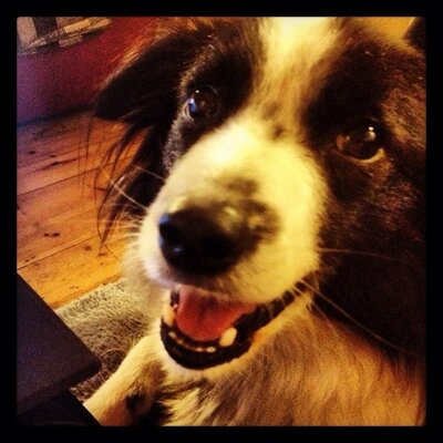 Diane Coyle's profile picture