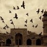Фото профиля فوائد إسلامية