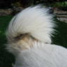 Фото профиля fluffy tales