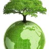 GreenEarth's profile picture