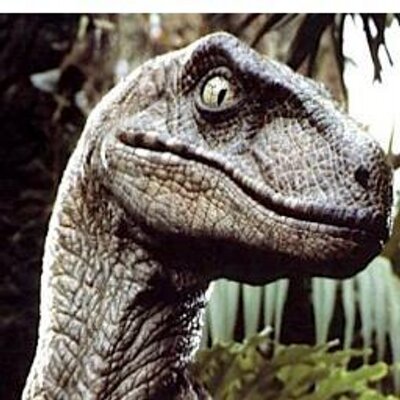 bryancurtis's profile picture