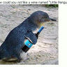 HappyPenguin20's profile picture