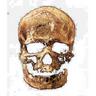 Profilbild von Walter Hedderich