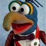 gonzalo contreras's profile picture