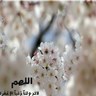 Фото профиля الجنه مرادي