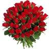 Chandra Ganapathy's profile picture