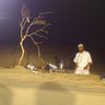 عبدالرؤوف بن ربيع عمير profil fotoğrafı