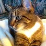 cellen48 profil fotoğrafı