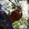 Profilbild von Jose  Rodriguez