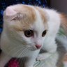 Keiichi Masuda's profile picture