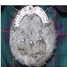 David Kay's profile picture