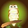 フクロウ profil fotoğrafı