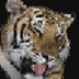 tiger1951's profile picture