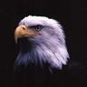 Bang Danar profil fotoğrafı