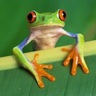 Sprog's profile picture
