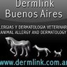 Фото профиля dermlink ⭐️⭐️⭐️ 🇦🇷