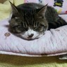 なるみ 的头像
