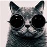 Thomas's profile picture
